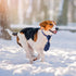 120 Set Summer Reginary Pcs Winter Dog Bandanas Bulk Dog Bows Bow Ties Cat Scarf Colorful Washable Triangle Pet