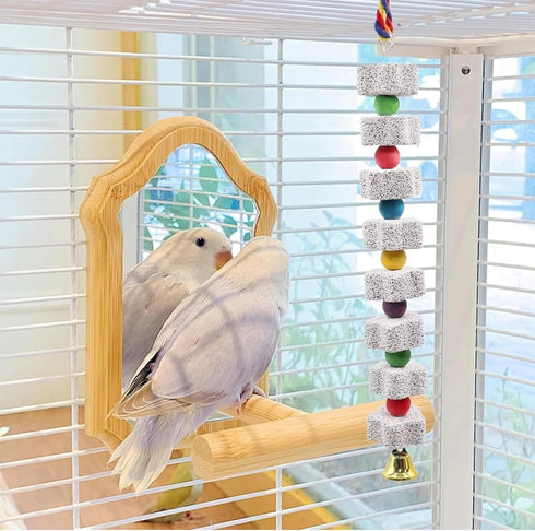 2 Pack Mineral Block Chicken Chewing Toy, KABASI Bird Beak Grinding Calcium Stone with Bells, Chicken Coop Accessories