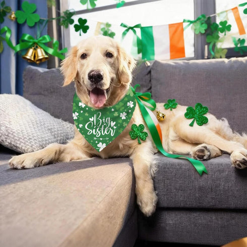 ZPPRJF St. Patricks Day Big Sister Dog Bandana, Pet Pregnancy Announcement, Shamrock Irish Style Pet Triangle Scarf