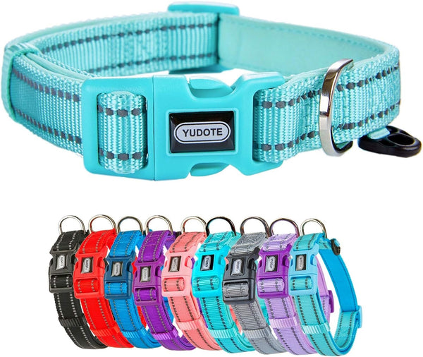 Reflective Nylon Dog Collar - Adjustable Neoprene Padding for Small Dogs (9.8"-15", Teal)