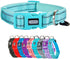 Reflective Nylon Dog Collar - Adjustable Neoprene Padding for Small Dogs (9.8"-15", Teal)