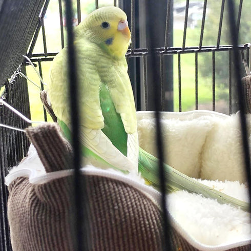 QBLEEV Bird Nest House Winter Warm Bed for Cage, Hanging Hammock Snuggle Hut Tent for Parrot Accessories
