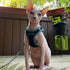 Voyager Step-In Air Dog Harness - Army/Black Trim, L - No Pull, Reflective, All Weather Mesh for Small, Medium Dogs,