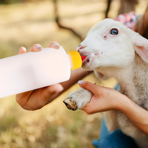 400ml 5PCS Angoily Goat Bottle, Lamb Bottle Goat Feeding, Small Animal Milk Drink for Feeding s, Nursing s Puppies, Pet