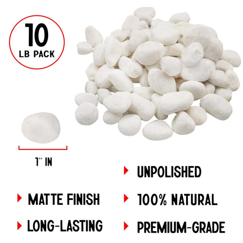 10 Lb. 1 inch 100% Unpolished White Pebbles - Pebbles for Plants, Gardens, Fish Tank Gravel, Dcor, Landscaping