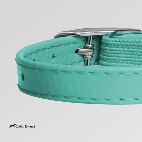 CollarDirect Leather Cat Collar with Elastic Strap, Kitten Collar with Bell, 8-11 Inch, Mint Green