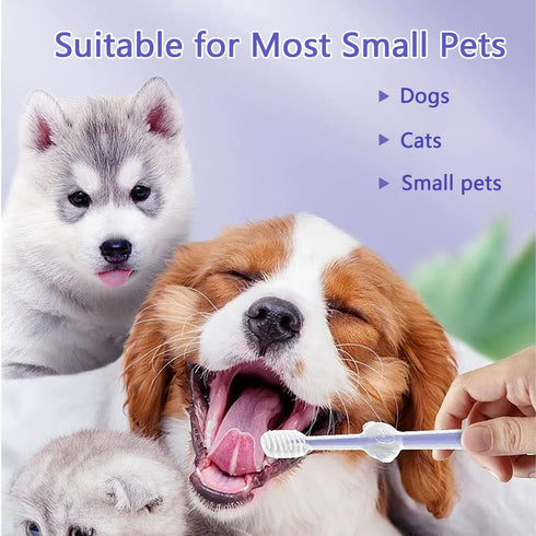 3PCS Pet Toothbrush Kit for Cats and Dogs, Complete Oral Care Set with Soft Bristles for Dental Hygiene