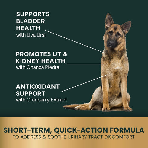 VetriScience Laboratories UT Strength STAT for Dogs, Urinary Tract Support, 90 Chewable Tablets