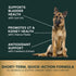 VetriScience Laboratories UT Strength STAT for Dogs, Urinary Tract Support, 90 Chewable Tablets