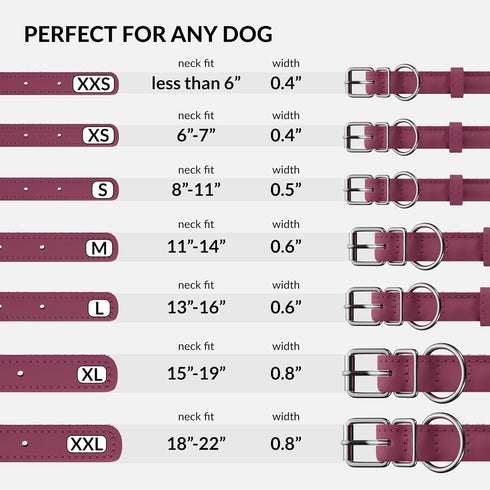 CollarDirect Rolled Leather Dog Collar, Soft Padded Round Puppy Collar, Handmade Genuine Leather in 13 Colors (8-11