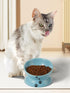 Y YHY Elevated Cat Food Bowl, Ceramic Raised Bowl with Tilt Angle for Cat's Spine Protection, Anti Vomiting Dish (Lake