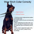 Dog Prong Collar Training Choke Chain, Adjustable Pinch Collar with Comfort Rubber Tips for Small Medium Large Dogs