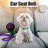 BUMBIN 6Ft Dog Leash for Large Dogs, Bungee Leash with 2 Handles, Heavy Duty for Medium Small Dogs, No Pull, Purple