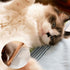 3 Pack Solid Wood Combs for Cats and Dogs - Tangle and Knot Remover - Flea Lice Comb with Rounded Stainless Steel Teeth