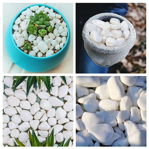 10 Lb. 1 inch 100% Unpolished White Pebbles - Pebbles for Plants, Gardens, Fish Tank Gravel, Dcor, Landscaping