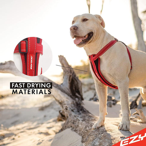 EzyDog Premium Chest Plate Reflective No-Pull Padded Comfort Dog Harness, Perfect for Training and Walking, Small, Red