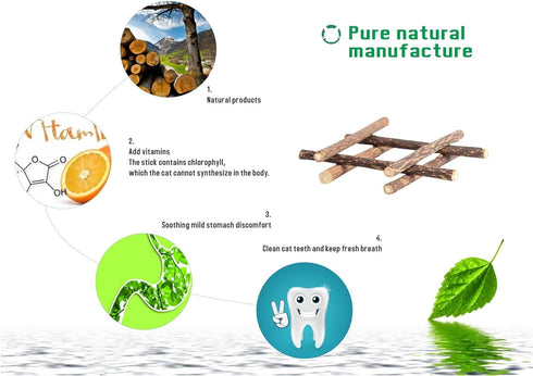 Silvervine Sticks Cat Toys - Natural Matatabi Catnip Chew Sticks for Teeth Cleaning (26 PCS)