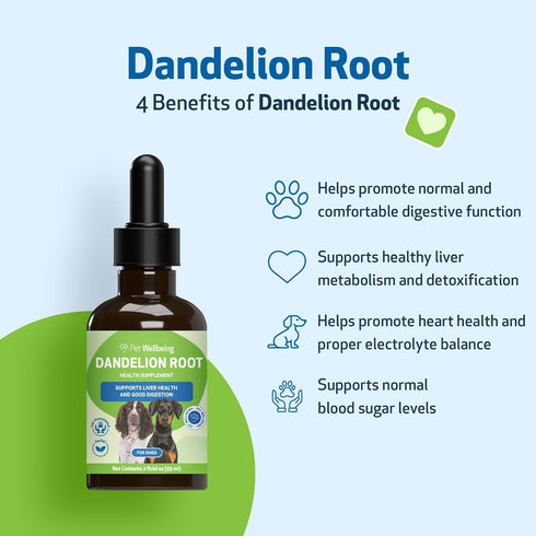 Pet Wellbeing Dandelion Root for Dogs - Certified Organic Herbal Supplement for Liver, Heart Health, 2 oz