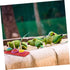 MUELODSIC Interactive Parrot Training Ring for Medium to Large Birds Wooden Tabletop Stacking Game to Enhance