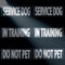 6 Pack Reflective Service Dog Patches, Removable In Training and Do Not Pet Patches with Hook and Loop
