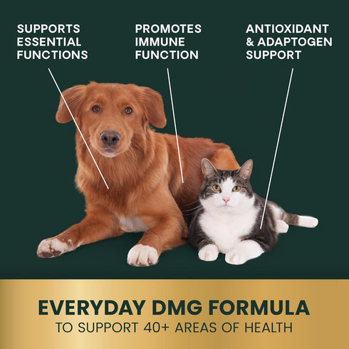 VETRISCIENCE DMG Immunity Health Easy-Dose Liquid, 114 ml | Hypoallergenic Immune Support Supplement for Dogs and Cats