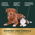 VETRISCIENCE DMG Immunity Health Easy-Dose Liquid, 114 ml | Hypoallergenic Immune Support Supplement for Dogs and Cats