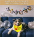 JXGZSO 1 Piece Stop Dot Not Pet Bandana, Do Not Distract Dog, No Touch No Talk