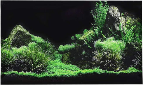 Aquarium Poster, 3D PVC Self Adhesive Fish Background Decoration, Seafloor Water Grass Sticker (24.0 x 15.7in)