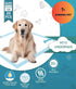 24x35 Inch, (20-Pack), Aurora Pet Ultra-Absorbent Puppy Pee Pads XL Leak-Proof & Quick-Dry Potty Training Pads