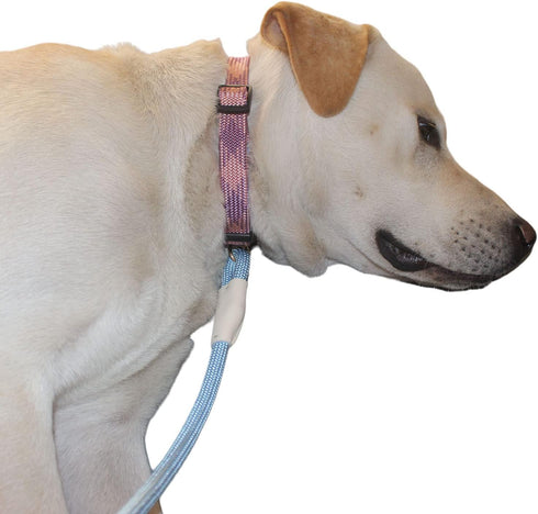 Lobster Snap Pet Leash 5FT, Strong Nylon Rope Dog Leash for All Breeds (Gold, 5ft *10mm)