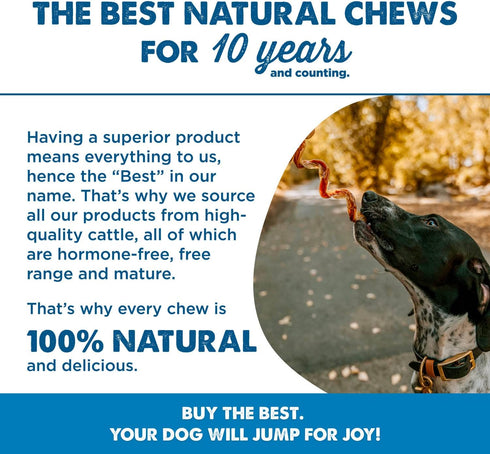 5 Inch 10 Count (Pack 1) Packed, Best Bully Sticks Curly Beef Collagen Sticks - of - Natural, USA Baked and Easily