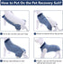 SAWMONG Blue Dog Recovery Suit, Post-Surgery Onesie for Female Dogs, XX-Large Size