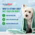 Command Medicated Dog Shampoo for Itchy Skin - Anti-Itch Relief for Allergies and Dry Skin (4 oz)