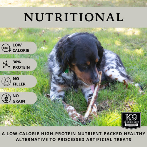 K9 8 10 Inch 50 8 Pack Connoisseur Beef Marrow Rib Dog Bones Long Lasting to Long - USA Made Single Ingredient