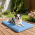 InVarme 36" 20": Summer 46-80 lbs Orthopedic Dog Cooling Mat x Extra-Thick Self-Cooling with Removable Memory Foam