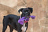 Multipet Rope Body Loofa 6" Dog Toy