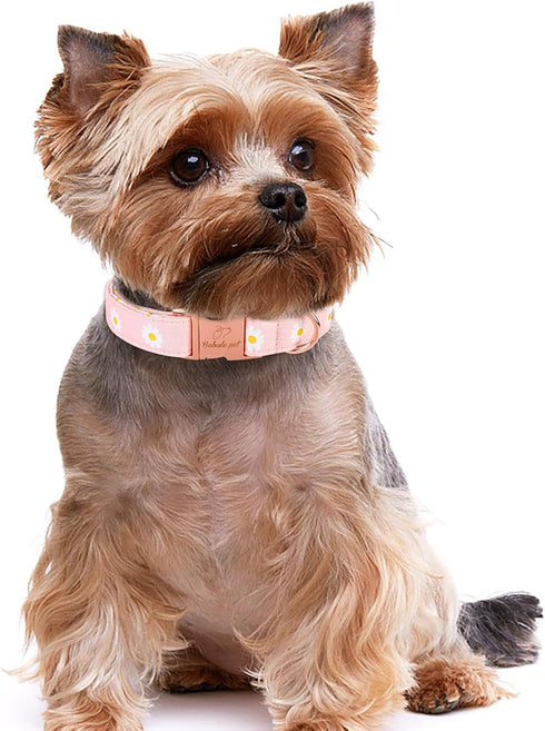 Cotton Dog Collar for Small Dogs, Adjustable Cute Boy Girl Collars with Metal Buckle (Baby Pink Daisy, S)