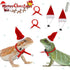 2 Pack Christmas Bearded Dragon Lizard Hat and Scarf, Small Animal Guinea Pig Christmas Costume Clothing (2A-Red)
