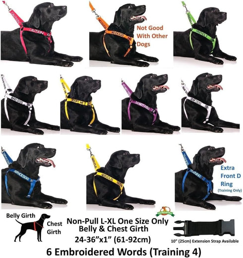 Dexil Limited Nervous Yellow Color Coded Padded Dog Leash, 2 4 6 Foot (Give Me Space)