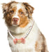 KUDES Adjustable Dog Necklace, Elegant Princess Style Pink Pearl Collar with Bow for Female Dogs, 2XL (18.8-21.6 Inches)