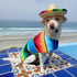 4 Pack Fiesta Dog Chew Toys and Sombrero - Mexican Squeak Plush Toys for Chihuahuas - Taco, Tequila, Hot Sauce