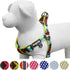 Blueberry Pet Step-in Southwestern Vintage Tribal Print Padded Dog Harness, M/L, Chest Girth 23.5" - 29.5", Extravagant