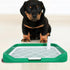 Indoor Dog Potty Tray with Raised Mesh Grate, Portable Small to Medium Dog Bedpan for Puppy Training and Indoor