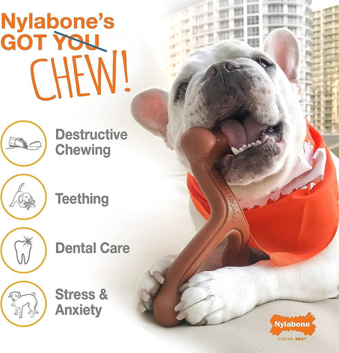 Nylabone 2 Pack of Power Chew Extreme Chewing Braided Bully Stick Alternative Dog Toys, Giant, Made in the USA
