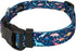 Country Brook Petz Deluxe Dinosaurs Dog Collar, Made in The U.S.A., Critter Corner Collection (1 Inch, Large)