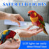 Anicuta Grinder,3-in-1 Finches Bird Nail Grinder,Automated Bird Beak Nail Care Kit with Nail Clippers and Nail File