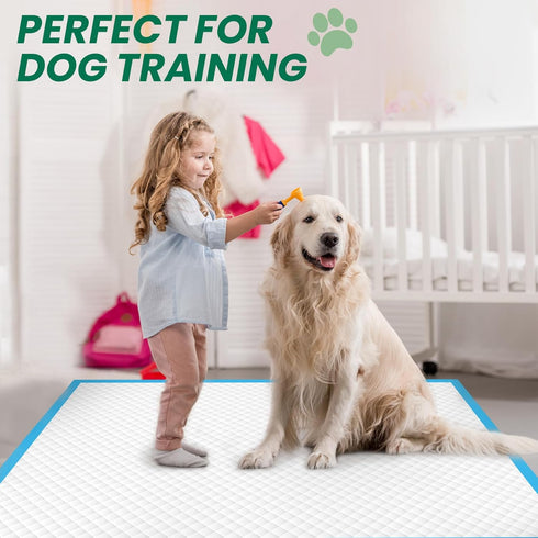 100 Count 28"x30" Large Dog & Cat Puppy Pee Pads - Absorbent Potty Training Pads | Leakproof Quick-Dry Disposable Pet