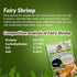 4 Freshwater Fairy Shirmp Eggs - for Hatching,High Protein Live Fish Food for Newborn Fry, Betta Fish, and Other