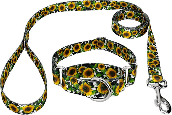 Country Brook Petz - Dairy Fields Martingale Dog Collar and Leash -