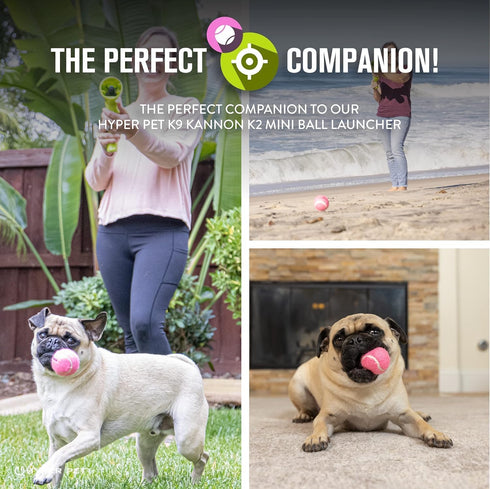 K9 4 Pack Hyper Pet MINI Tennis Balls for Dogs (Safe Dog Ball Tennis Balls for Exercise & Training) Interactive Toys